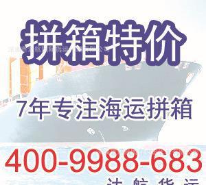 深圳到意大利安科纳Ancona海运专线 达航专业货运代理服务详解